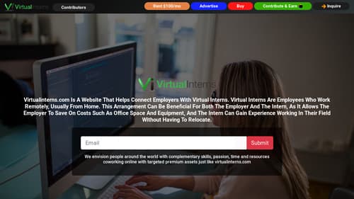 virtualinterns.com